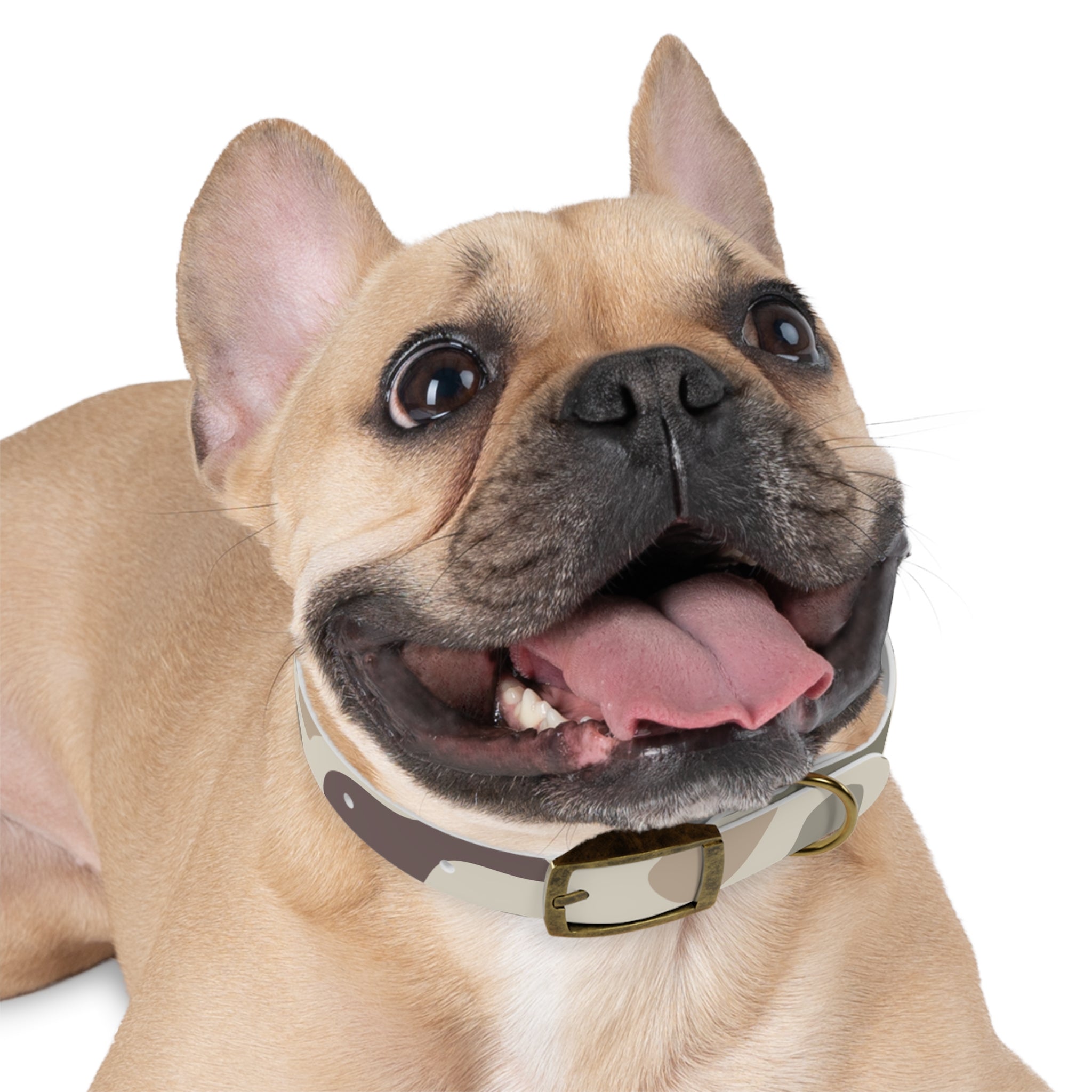 Camo Dog Collar — Durable Adjustable Pet Collar