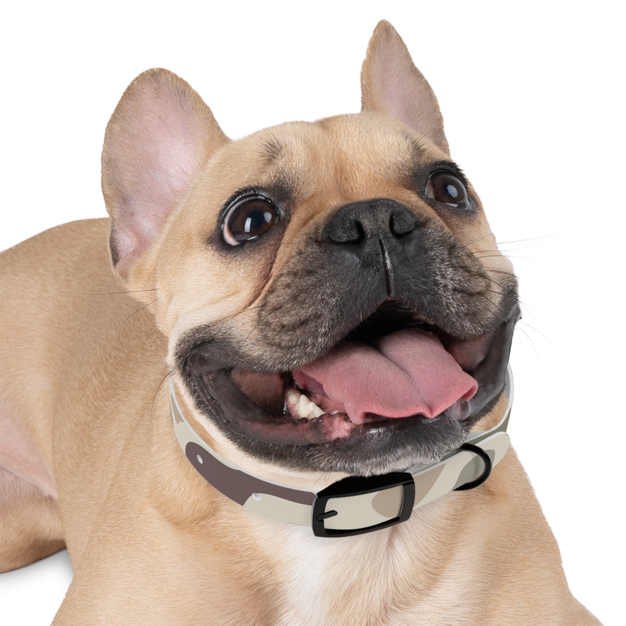 Camo Dog Collar — Durable Adjustable Pet Collar