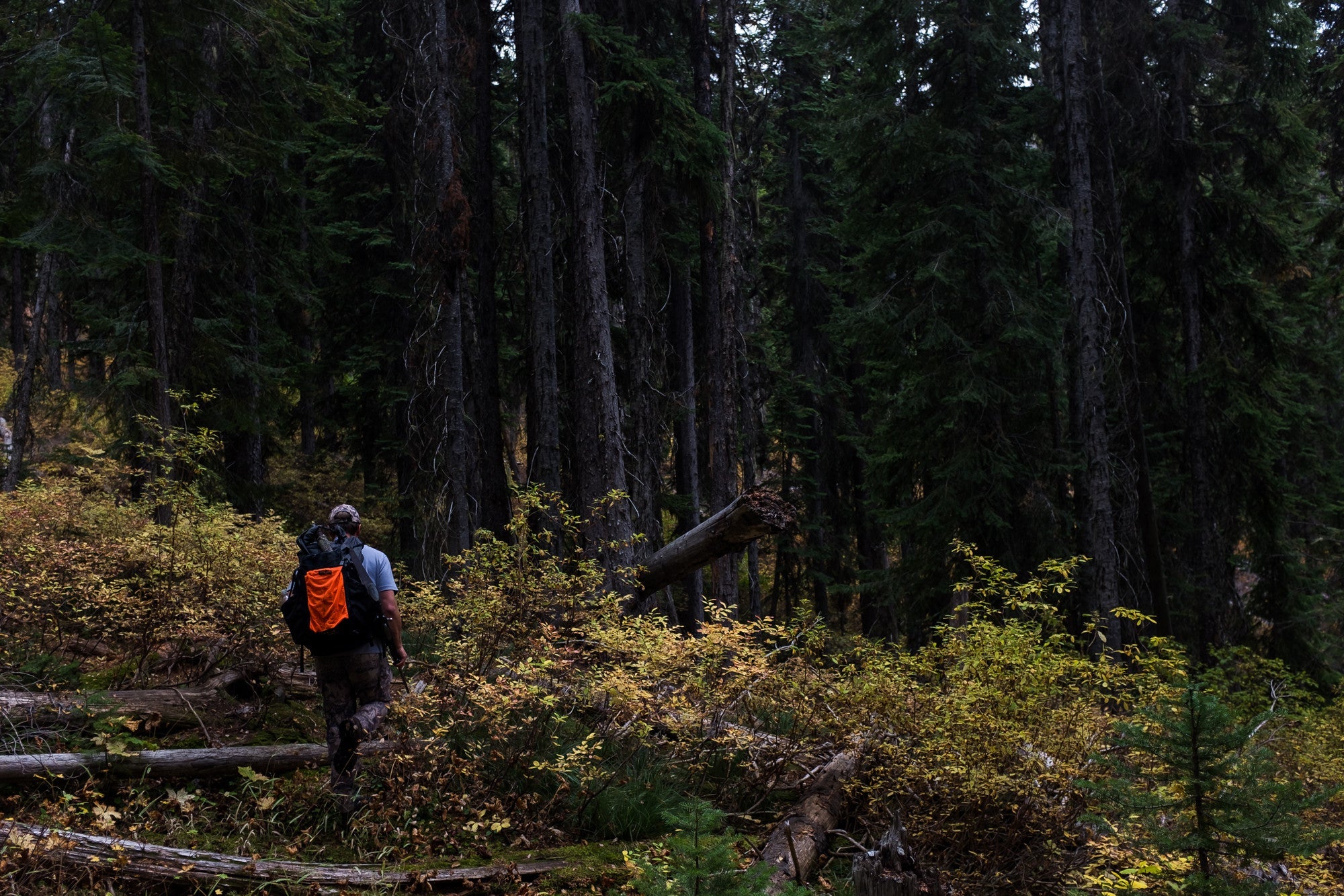 Blaze Orange Safety Panel