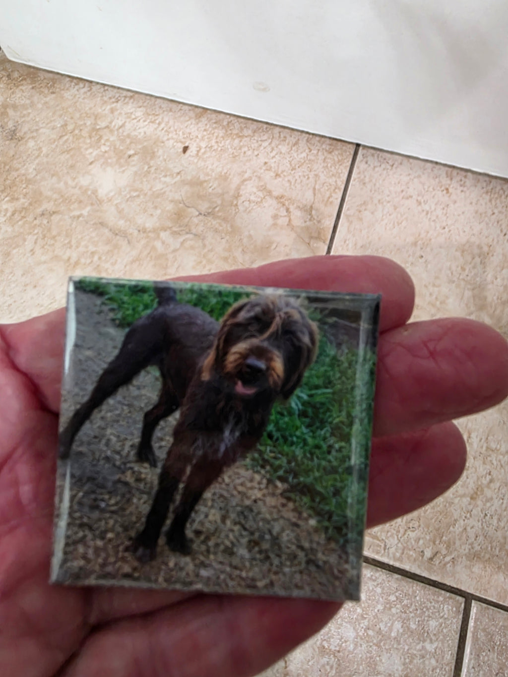 2 X 2 Personalize Magnet - 1 magnet