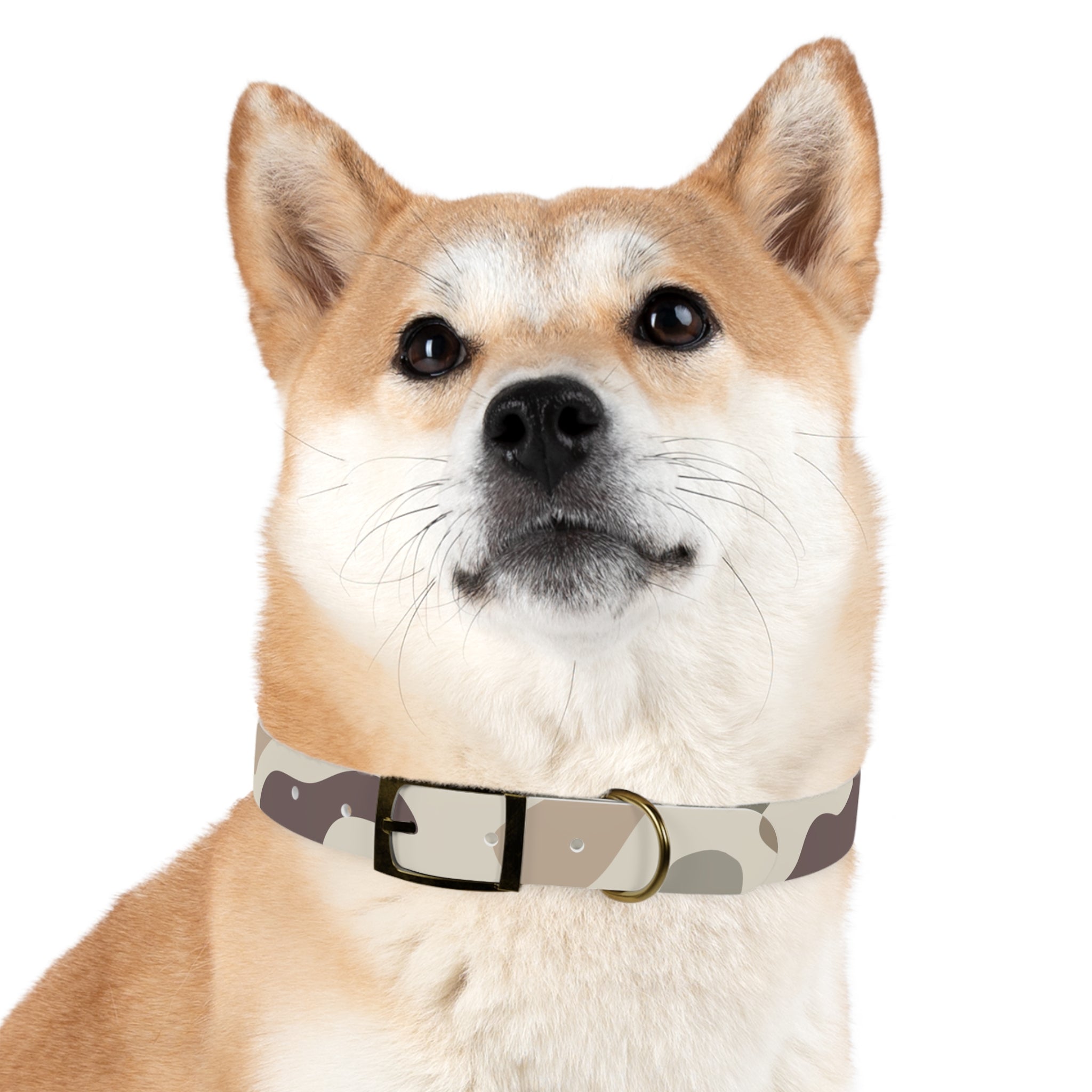 Camo Dog Collar — Durable Adjustable Pet Collar