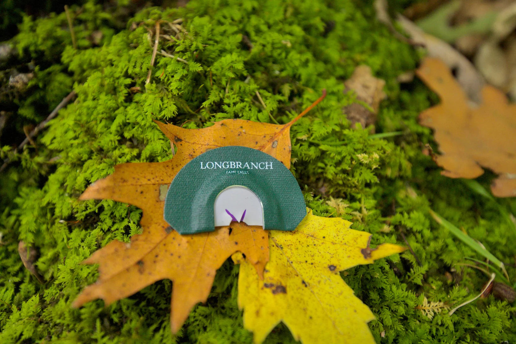 Modified Split - V Turkey Call